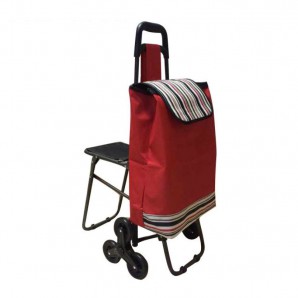 Six-WheeLED Shopping Cart with Seat