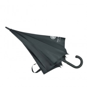 25 Inch Straight Umbrella