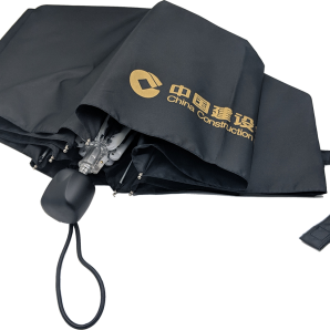 21 Inch Water Repellent Folding Umbrella