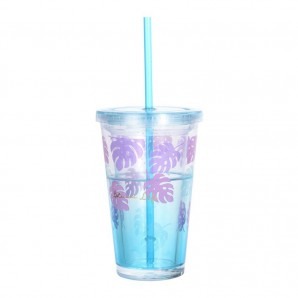 Double-layer Straw Cup 450ml
