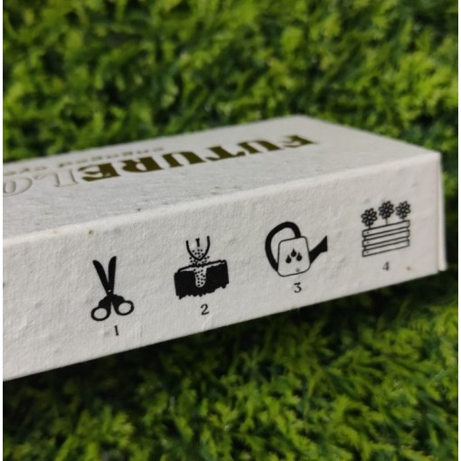 Eco Seed Printed Paper Box